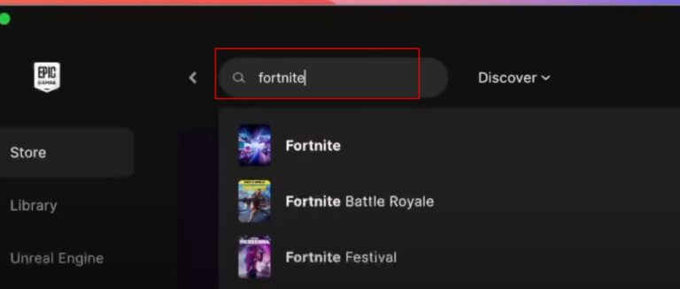 search fortnite