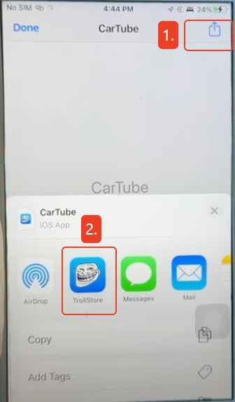 open cartube via trollstore